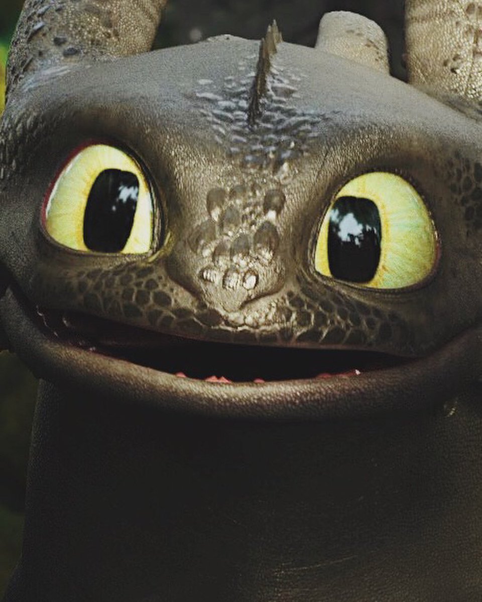 Httyd006forever's tweet photo. #HTTYD #httyd006 #Soluço #SoluçoEBanguela #HTTYD3 https://t.co/6higYaZF3z