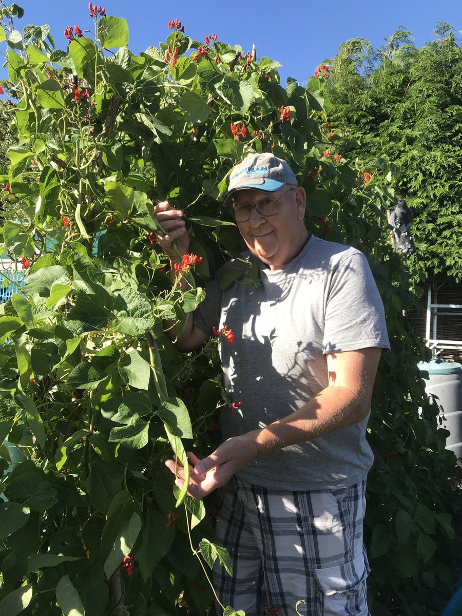 geraldstratfor3's tweet photo. First time growing (Guinness world record )very impressed also has a good taste https://t.co/50spz6Sr4I