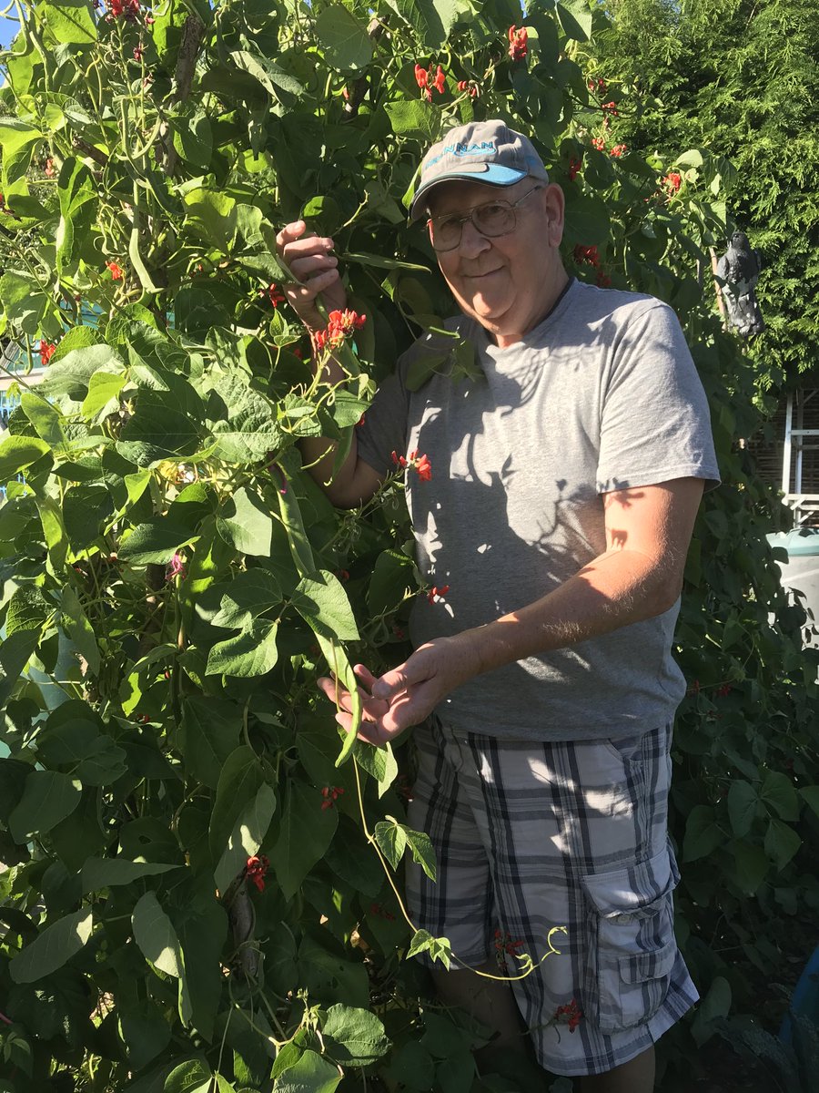 geraldstratfor3's tweet photo. First time growing (Guinness world record )very impressed also has a good taste https://t.co/50spz6Sr4I