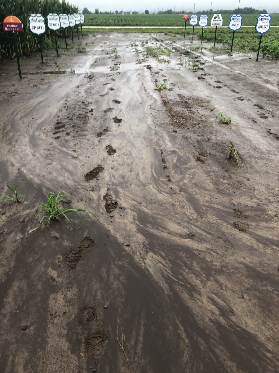 Rain on July 30th is a great thing but we will be moving our NE Mo “plot tour” inside!