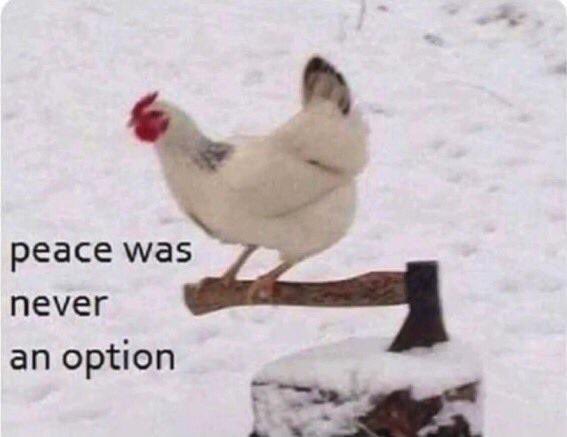 iPuppy_'s tweet photo. @SubwaySenpai uh oh https://t.co/jxu9jfK3pE