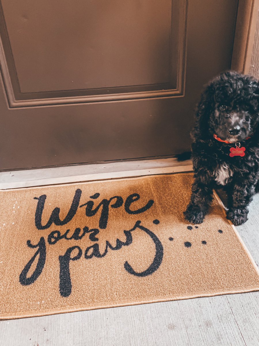 We got a new doormat today!! 💛💕