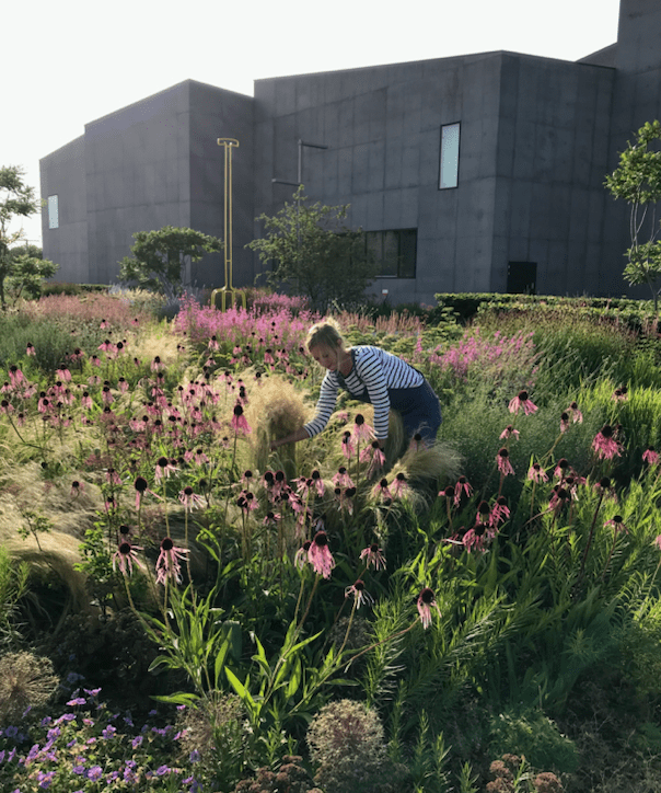 HepworthGallery's tweet photo. 'I feel privileged to be the first custodian of the garden...'
Our Cultural Gardener, Katy, chats to the @PlantNetwork #podcast about The Hepworth Wakefield Garden. Listen at https://t.co/3iXPFBefTu
The Garden is open daily, free entry.
Photo: @CharlotteAM https://t.co/cW7rxCZM4b