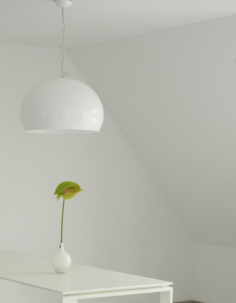 Spruce Up, Inc. tweet media