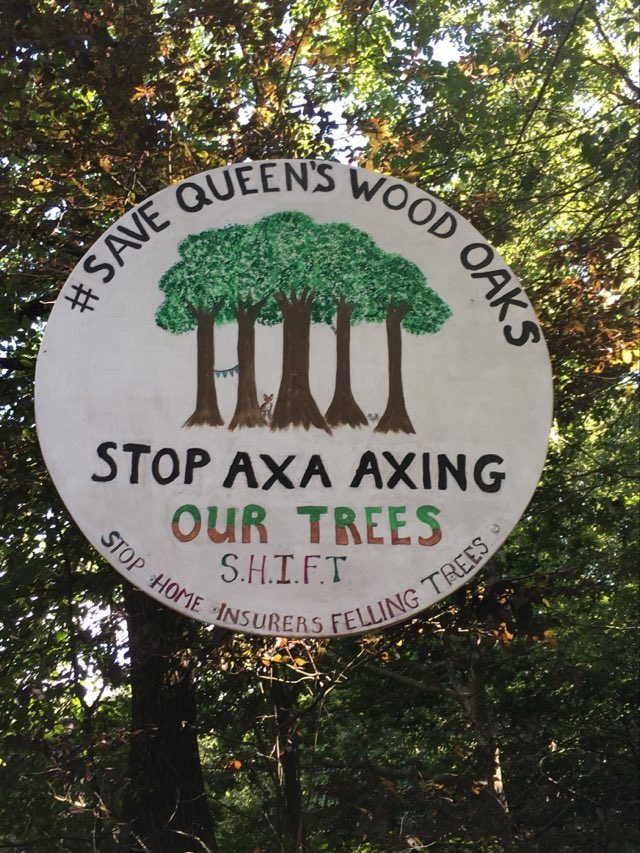 CllrKirsten's tweet image. Today I visited the protest camp at Queen's Wood, an ancient woodland in the heart of London, to thank them for their campaign to save the threatened oak trees. I don't want the trees to be cut down.
