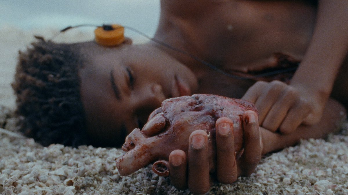 Un chef-d’œuvre visuel mettant en scène l’évolution progressive d’un humain du plus jeune âge au statut d’adulte derrière lequel il ne cesse de courir. Il y a cette représentation de l’effort et ce contraste avec le désespoir comme une course poursuite avec notre existence.