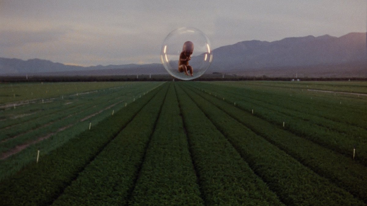 Un chef-d’œuvre visuel mettant en scène l’évolution progressive d’un humain du plus jeune âge au statut d’adulte derrière lequel il ne cesse de courir. Il y a cette représentation de l’effort et ce contraste avec le désespoir comme une course poursuite avec notre existence.