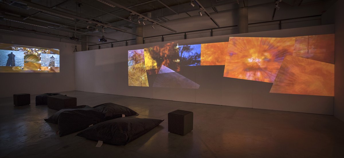 TheAIPlym's tweet photo. "...we held our collective breath as the artist, barefoot and naked to the waist, stepped into the projections of overlapping colour and became a living sculpture." @Kayla_Parker reflects on the 2017 Malcolm Le Grice retrospective - https://t.co/67SA1rSClg
#ThrowbackThursday https://t.co/DXCPk80BTw