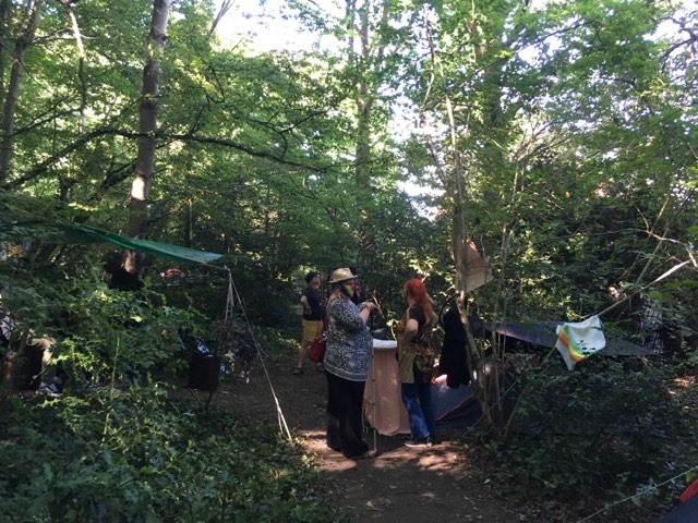 CllrKirsten's tweet image. Today I visited the protest camp at Queen's Wood, an ancient woodland in the heart of London, to thank them for their campaign to save the threatened oak trees. I don't want the trees to be cut down.