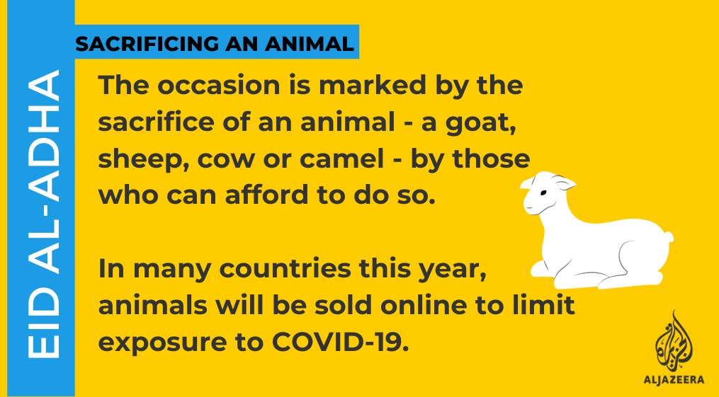 4. An animal that Muslims can eat is sacrificed on  #EidAlAdha   |  https://aje.io/29pet&nbsp;