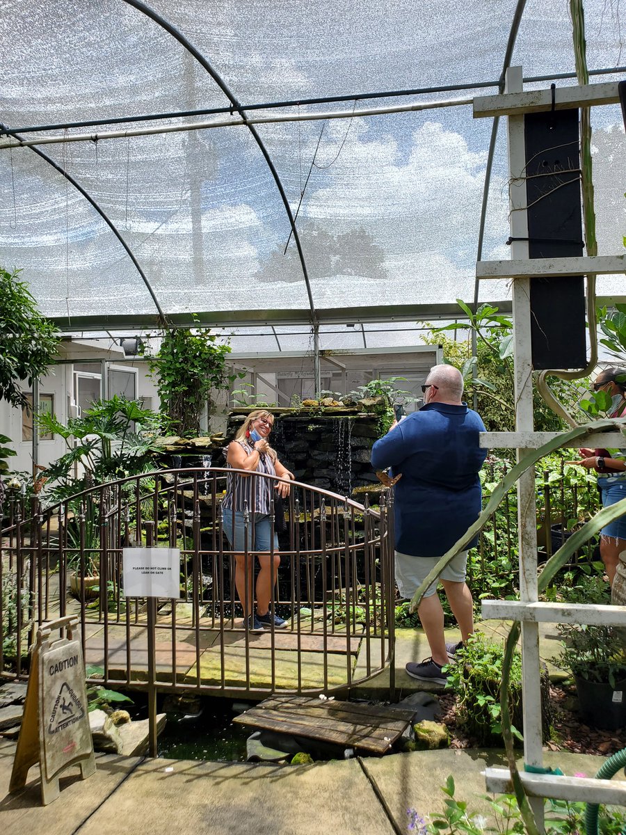 WalkerMS_OCPS's tweet photo. Viking Leadership Retreat today at Lukas Nursery to support our theme of a Growth Mindset this year. We set personal goals, examined data, painted our pots to represent our goals, competed in a scavenger hunt, and walked in the butterfly enclosure. #growthmindset #vikingpride https://t.co/N7NquYTh34