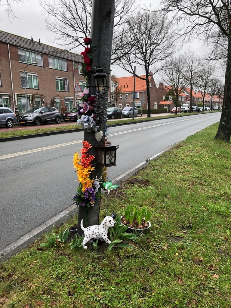 Wherona Does verloor haar zoon ook bij een verkeersongeval: 'Niet weten hoe een ongeluk is verlopen is verschrikkelijk'..