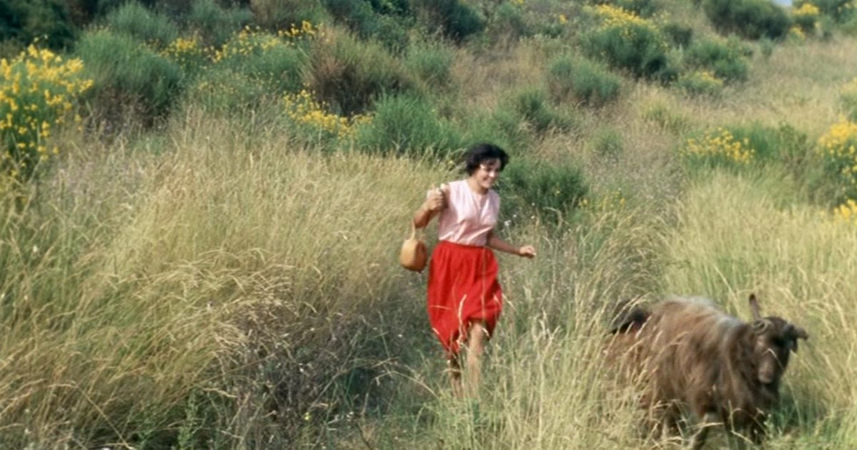 thepinksmoke's tweet photo. All technical refinements depress me. The perfection of photography, the big screens, the stereo sound, all of it makes possible a servile reproduction of nature; &amp; that reproduction bores me. The artist's personality interests me more than the copying of an object.

~Jean Renoir https://t.co/qwD14pgbYa
