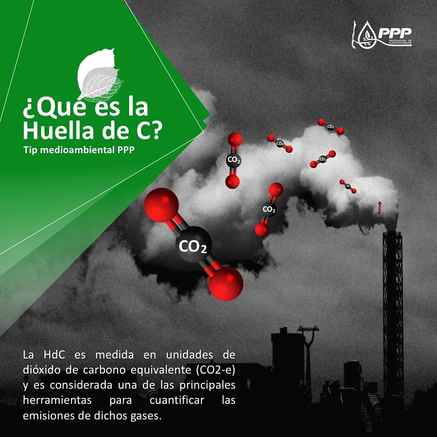 PPuelche's tweet photo. Una de las principales preocupaciones de PPP es disminuir la huella de carbono generada a partir de la elaboración de productos plásticos en el mundo, por eso trabajamos día a día para concientizar a la población sobre la relevancia de reciclar tus plásticos!
#cuidemoselplaneta♻️ https://t.co/5unJKfhPwW