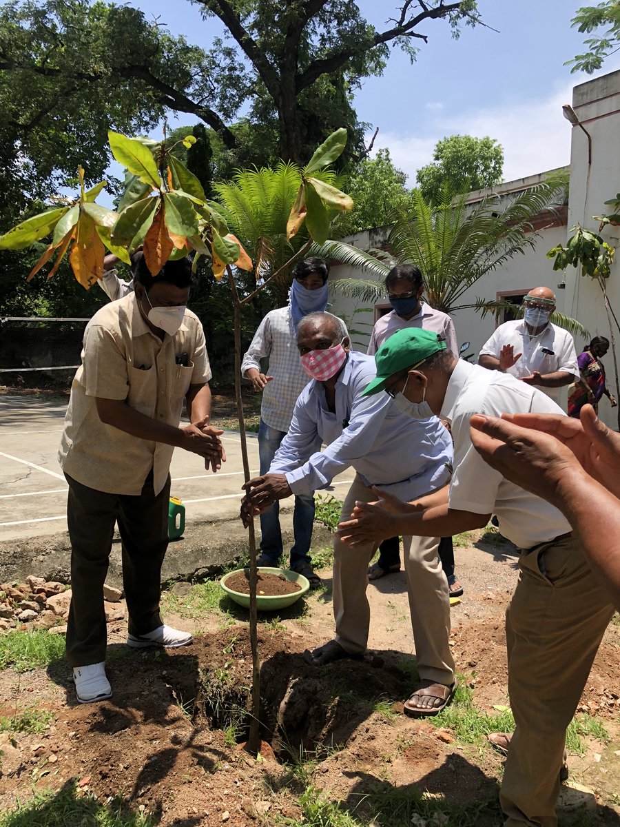 EKarimnagar's tweet photo. Plantation programme for TKHH at @EKarimnagar  by District Irrigation Officer, T Srinivasa Rao Gupta with office staff. @Collector_KNR @HarithaHaram https://t.co/fmHYKeBGyk