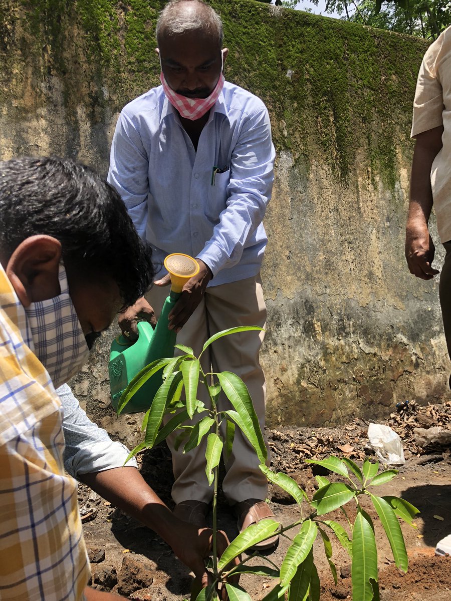 EKarimnagar's tweet photo. Plantation programme for TKHH at @EKarimnagar  by District Irrigation Officer, T Srinivasa Rao Gupta with office staff. @Collector_KNR @HarithaHaram https://t.co/fmHYKeBGyk