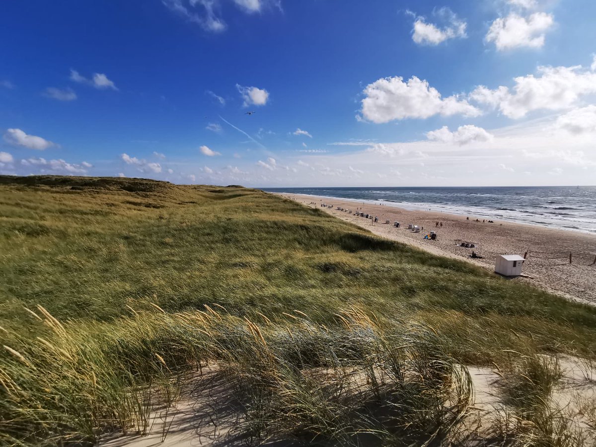 Etwas Farbe für dieses „Twitter“. #blau #grün #weiß #sand