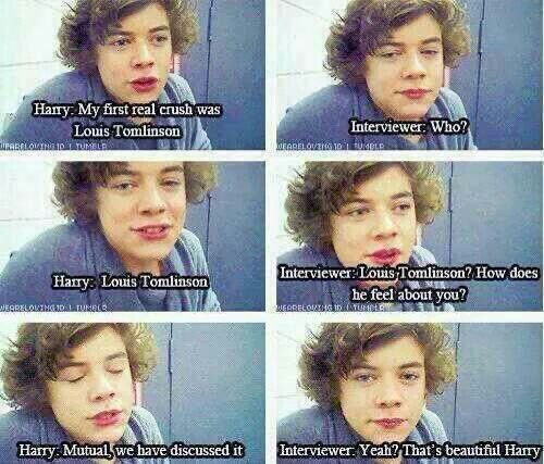 ariiiiiitaaaaa's tweet photo. Ósea, ¿creéis realemente que Harry estaba en broma en el vídeo donde dice “My first real crush was Louis Tomlinson? Period https://t.co/Hgwf8xggYP