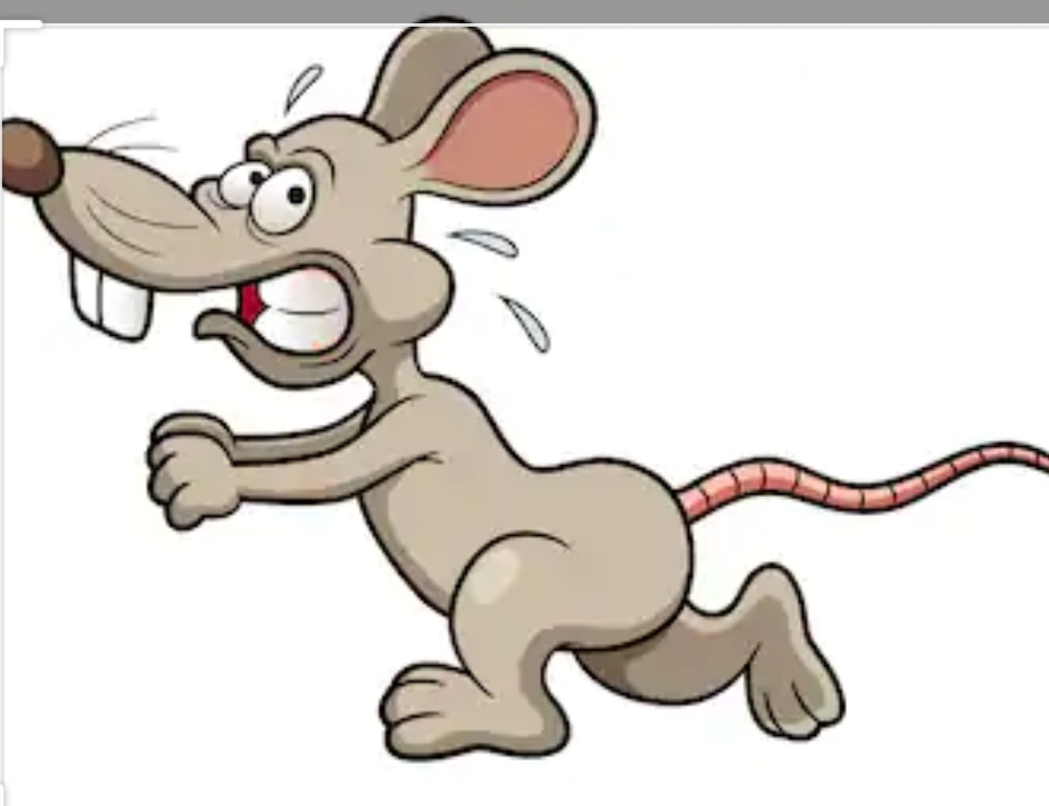 archangels08's tweet photo. #earthquake the only thing about the #earthquakeinLA  is the rats stop eating the wood in mine ceeling  abd I can go back to sleep #2020 https://t.co/n5zZ50mmjb