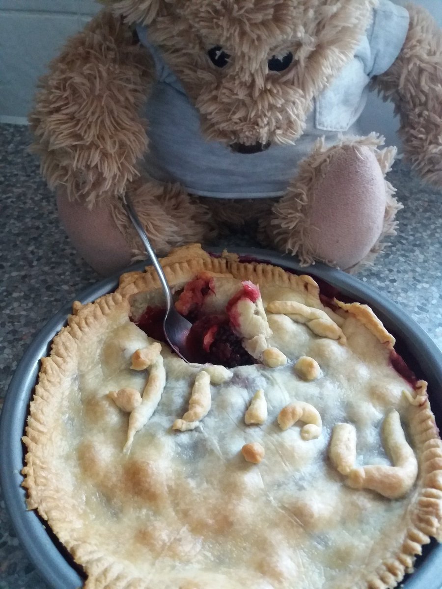 pissedbear's tweet photo. Moist gash 😋😋😋😋😋😋 #cookingathome #CookingWithED🐻 https://t.co/uJt1QuAyox