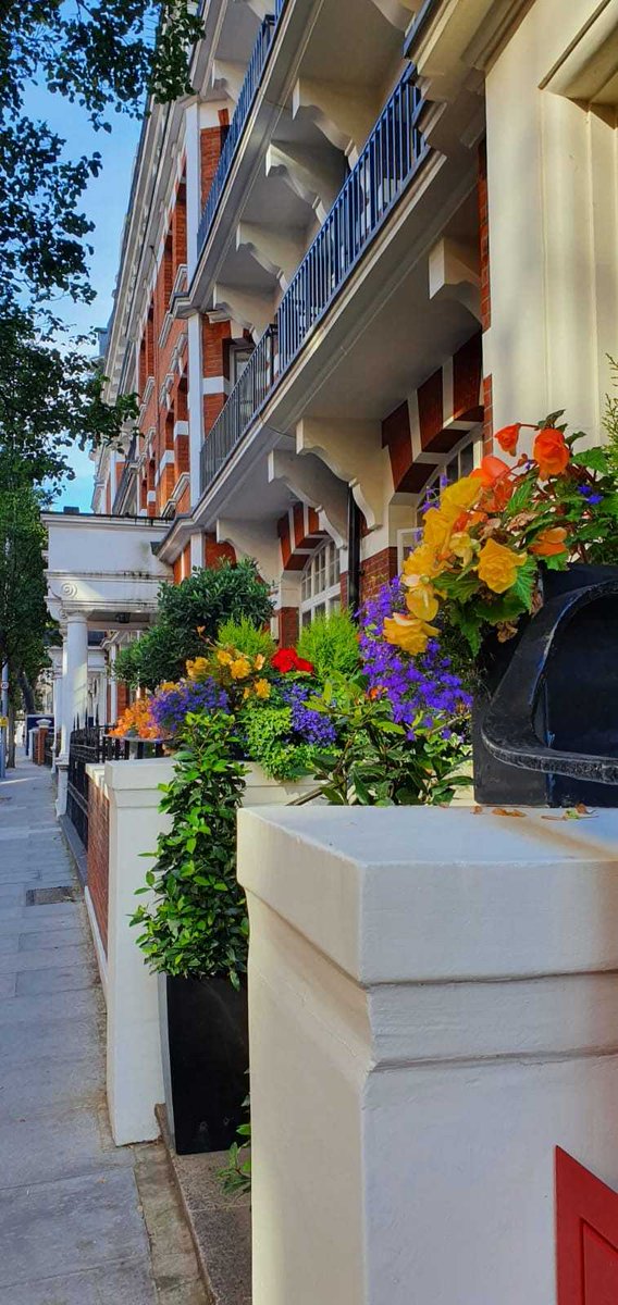 struttsthebeach's tweet photo. Walking to viewings in #Chelsea, along beautiful Drayton Gardens, makes you stop to appreciate the flowers! #ChelseaSW10 #SW10 https://t.co/MUzy0Qf6o7