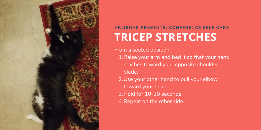 arlisnap's tweet photo. Follow along with @SarahBelclaire's cookie for a Tricep Stretch! Raise one arm (like Cookie) over your head and reach for your opposite shoulder blade. Use the other hand to pull your elbow toward your head. Hold for 10-30s and repeat! #arlisna2020 #selfcare https://t.co/9PH4H0vCju