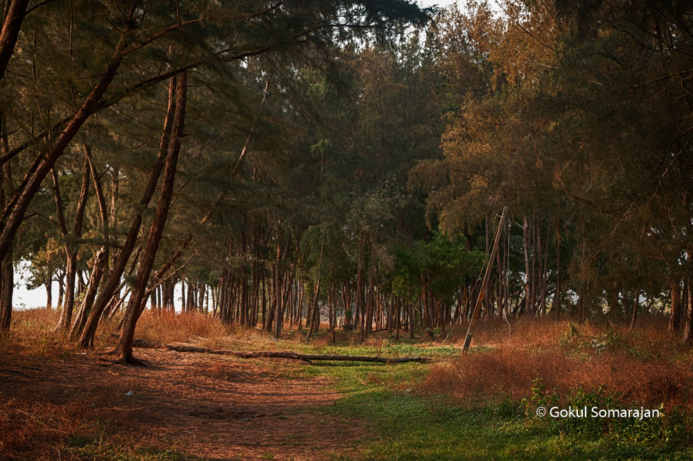 Creativehut's tweet photo. Photography by Gokul Somarajan
Admission Open for #travelphotographycourse2020. One Course Many Specialization.
Register Now ! Whatsapp or Call :+91 8547044220
#photographyinstitute #photo #like #instagood #landscape #photographycollege #photographycourse #likeforlike https://t.co/Poq1An4hGe