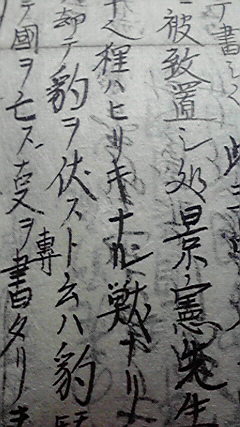 狸は非力なる獣なり 