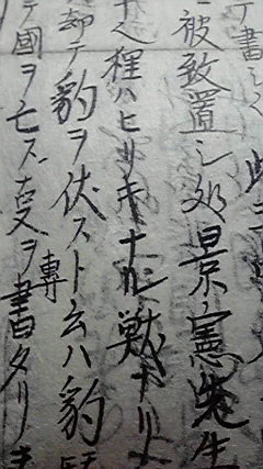 狸は非力なる獣なり 