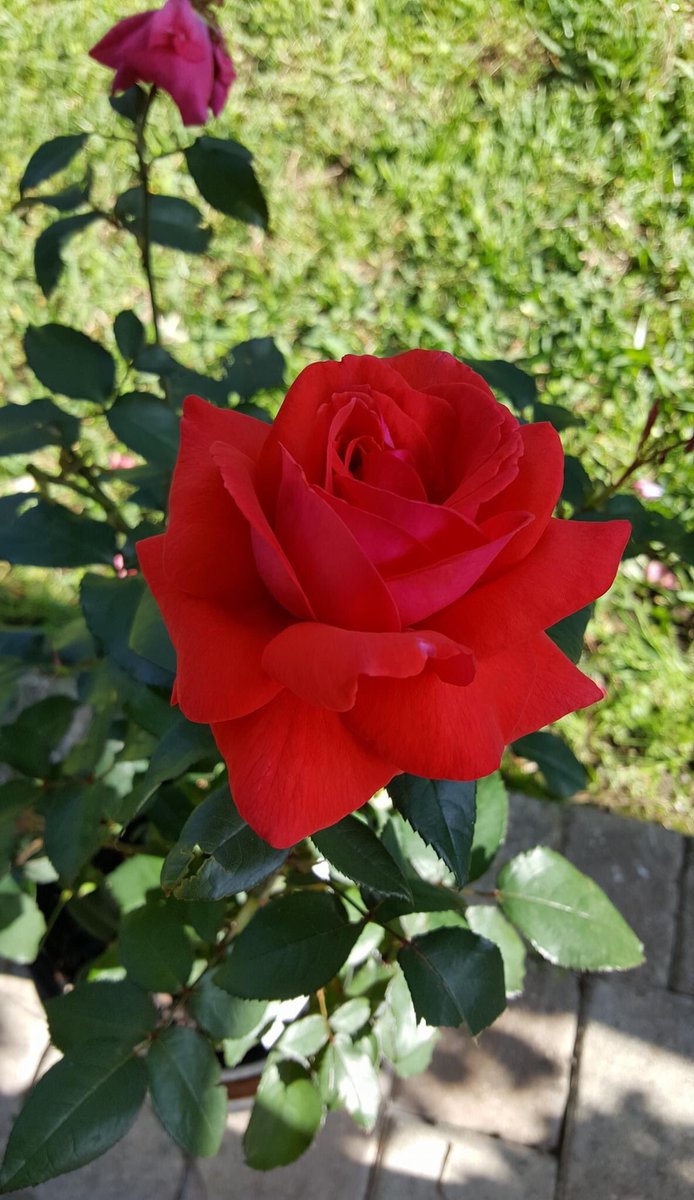 RaquelTucker17 tweet picture