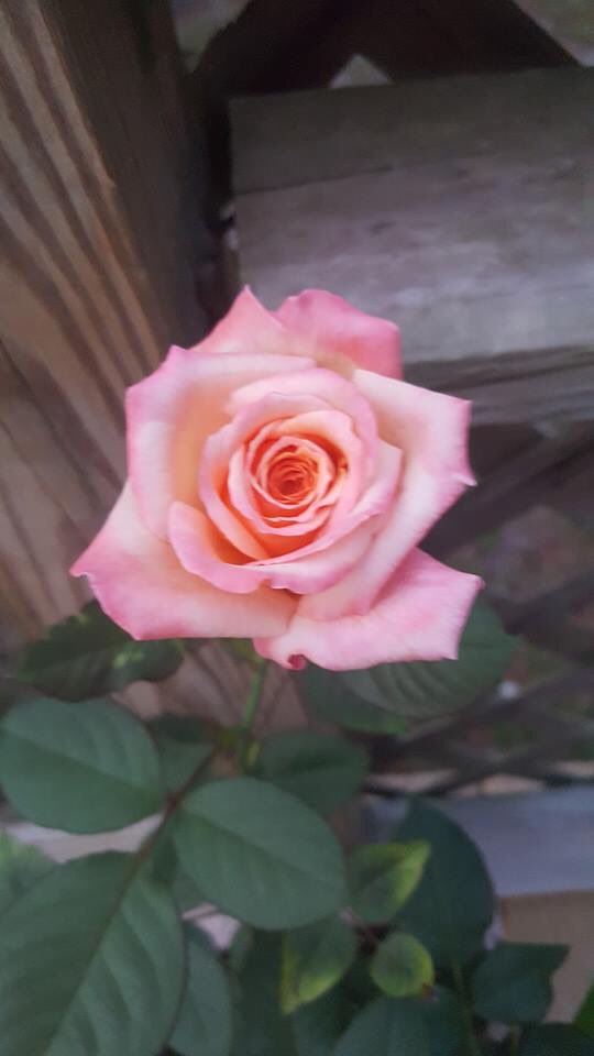 RaquelTucker17 tweet picture
