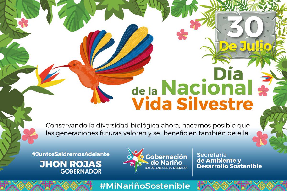 gobnarino's tweet photo. 🌍🌳Colombia ocupa el segundo puesto en ser uno de los países megadiversos del #planeta, gracias a su ubicación geográfica #intertropical, y diversos factores que generan las condiciones perfectas para que se desarrollen un gran número de especies de flora y fauna. #NoEstanSolos https://t.co/sgbqXOVRG4
