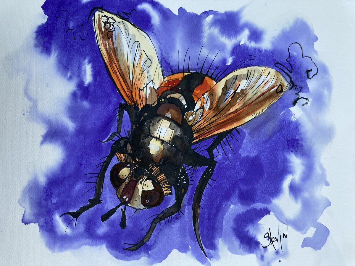 Bzzzzz - flying thing, sumi ink, water colour and brusho powder on watercolour paper 🐝🦟🎨 #thingsthatfly #art #sumiink #brusho #drawing #painting #wildlifeart #illustration #drawnbyhand #paintedbyhand #insectart #flyart #prettyfly #boldcolours #beeart #savethebees