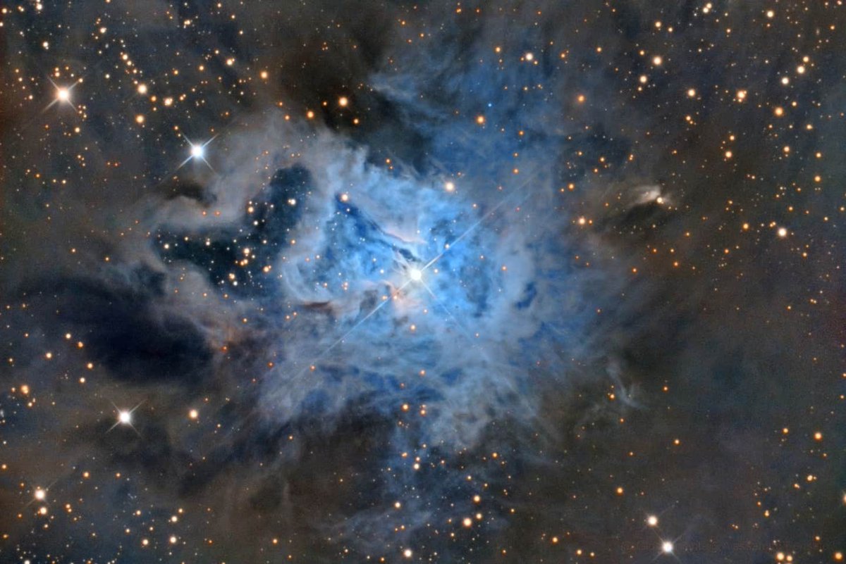 Space Snaps tweet media