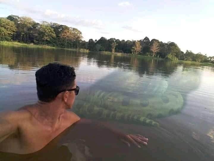 ruanyto_'s tweet photo. Como é / como eu vejo https://t.co/KDkvkYIErs