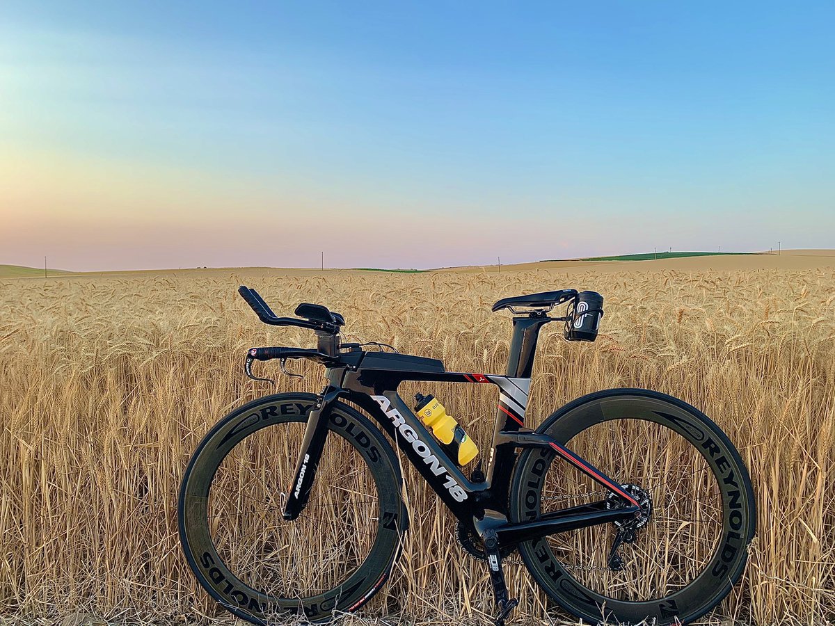 Marcella Rietz tweet media