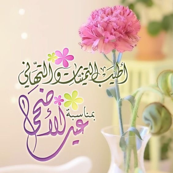 8tigeritti's tweet photo. كل عام و أنتم بخير 

تقبل الله منا و منكم صالح الأعمال

و أتمنى لكم عيد كله سعادة و عافية و خير🤍 https://t.co/bSJHBcWbDs
