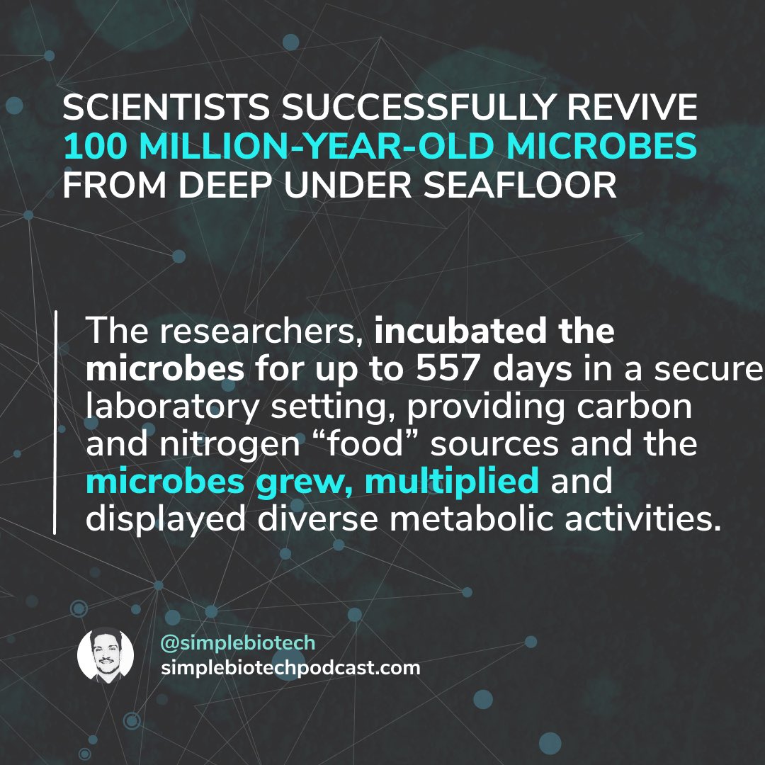 simplebiotech's tweet photo. #sciencecommunication #researchers #biotech #biotechnologist #biotechnology #sciencepodcast #discoveries #biotechpodcast #scicomm #scientificresearch #medicalresearch #sciencedaily #research 
#bacteria #microbiologylab #laboratorylife #microbiologist #laboratorywork #biology https://t.co/bX39EA2OCX