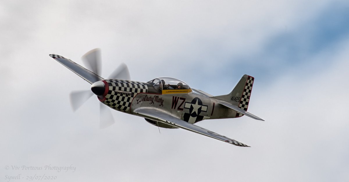 p51 warbird 2020