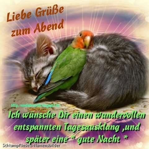 Marlies Ziegeler على تويتر Wünsche Euch Lieben Herzen Einen Wunderschönen Gemütlichen Abend Und Später Eine Schöne Gute Nacht Schlaft Gut Nachher Und Träumt Was Feines Https T Co Rvwyvlusbb