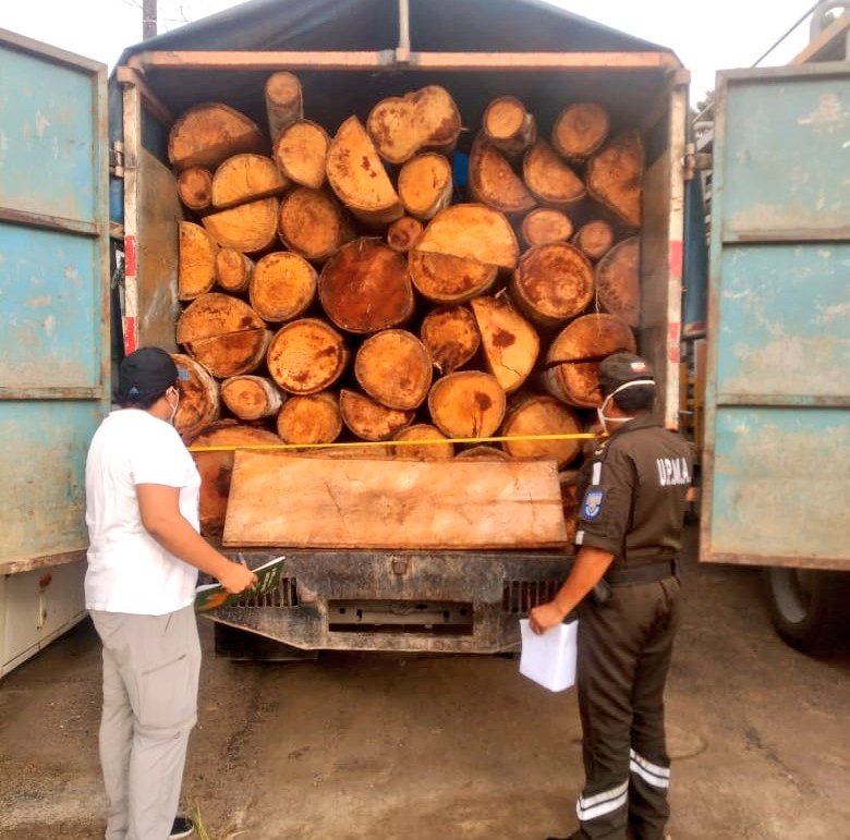 MAATE_Zonal7's tweet image. #ELORO | Dentro de los operativos móviles de control forestal, en coordinación la #UPMA de la @PoliciaEcuador en el sector El Blanco del cantón Arenillas, se retuvo 11.5 m3 de especie balsa, por incumplimiento de la normativa ambiental vigente.