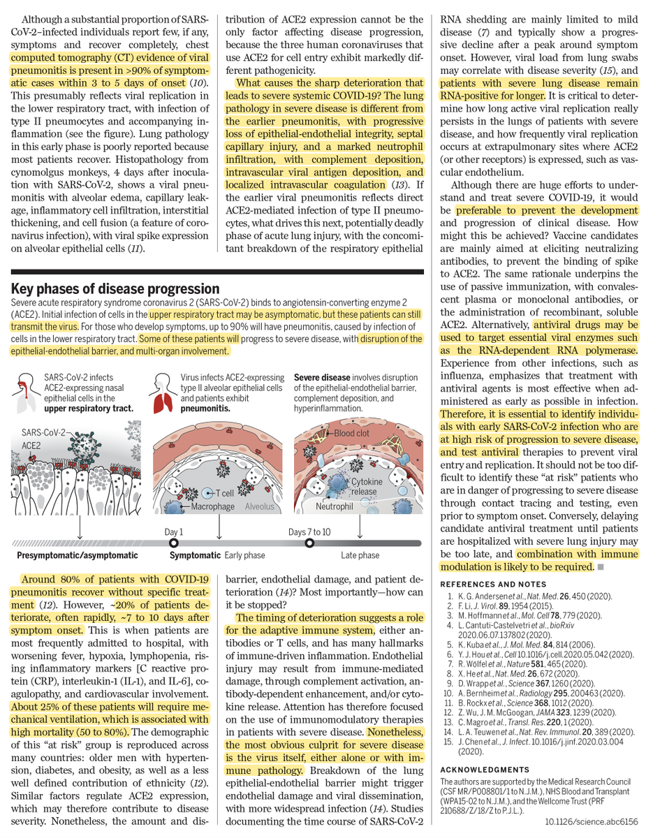A succinct summary of what we know about #SARSCoV2 pathophysiology for inducing #COVID19 illness
<a href="/ScienceMagazine/">Science Magazine</a> 
science.sciencemag.org/content/369/65…
with <a href="/ScienceVisuals/">Science Visuals</a> <a href="/oooitsplasma/">Val Altounian</a>