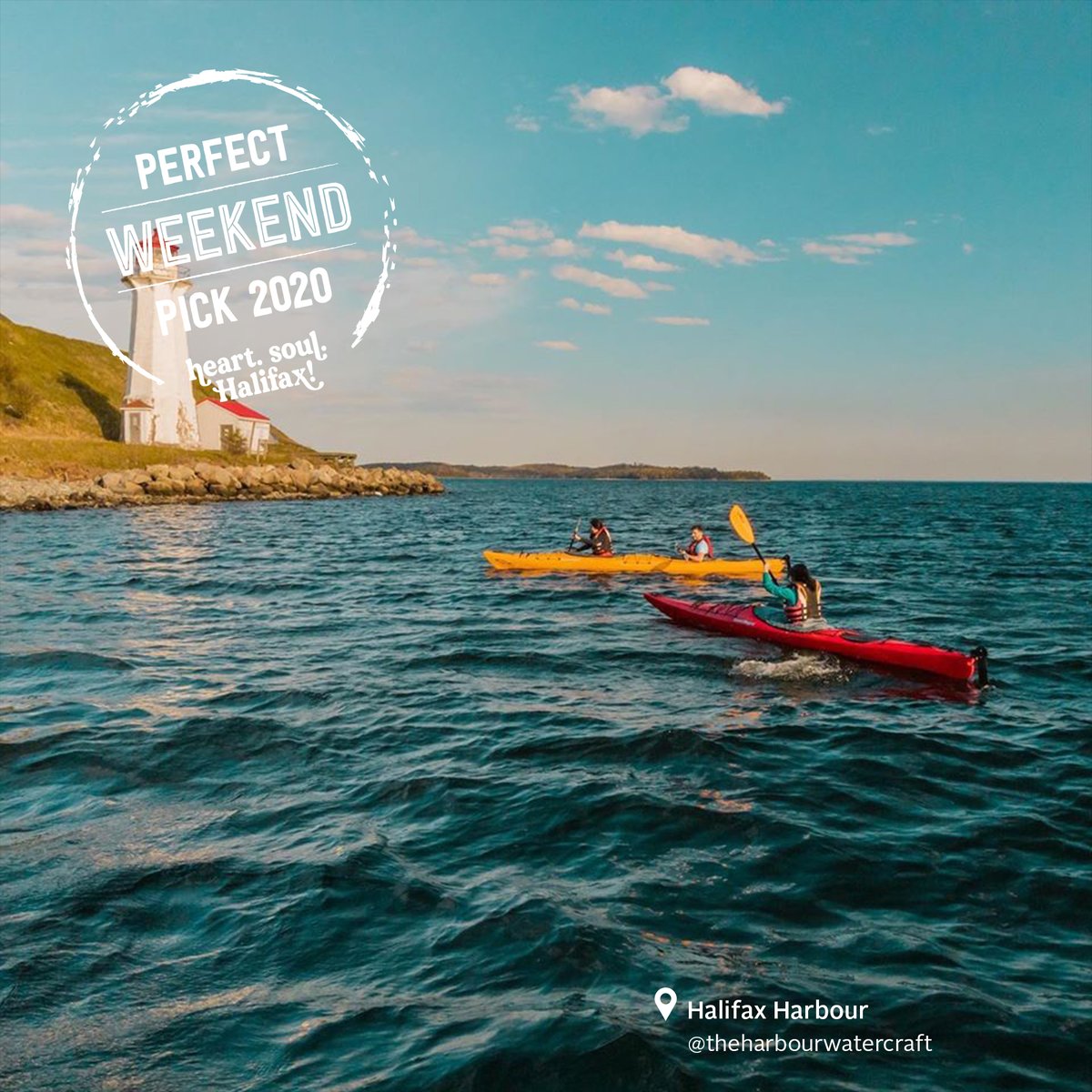 Discover Halifax tweet media