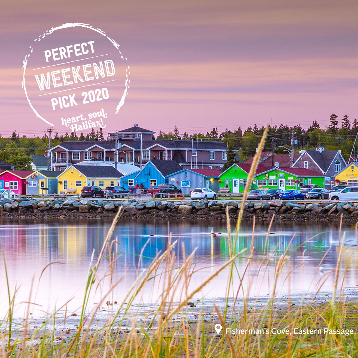 Discover Halifax tweet media