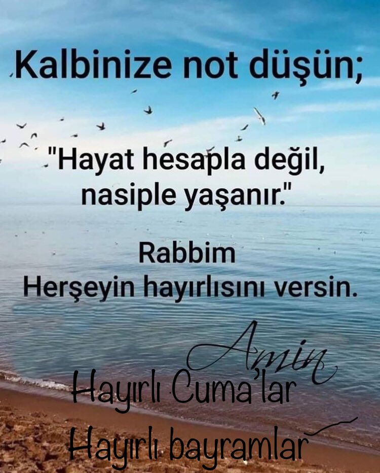 Süleyman Özbey (@sleymanzbey44) on Twitter photo 