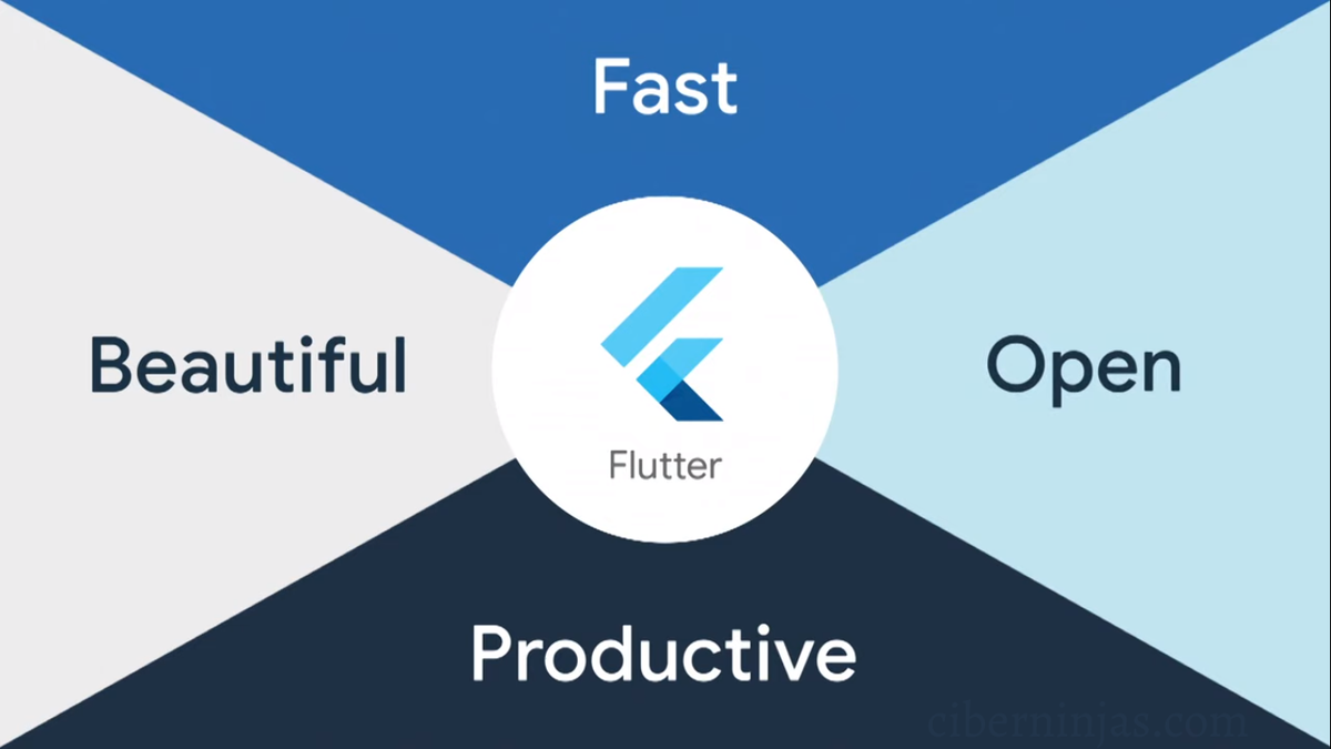 Flutter int. Flutter разработка. flutter developer. flutter фреймворки дизайн. flutter разработки лого.
