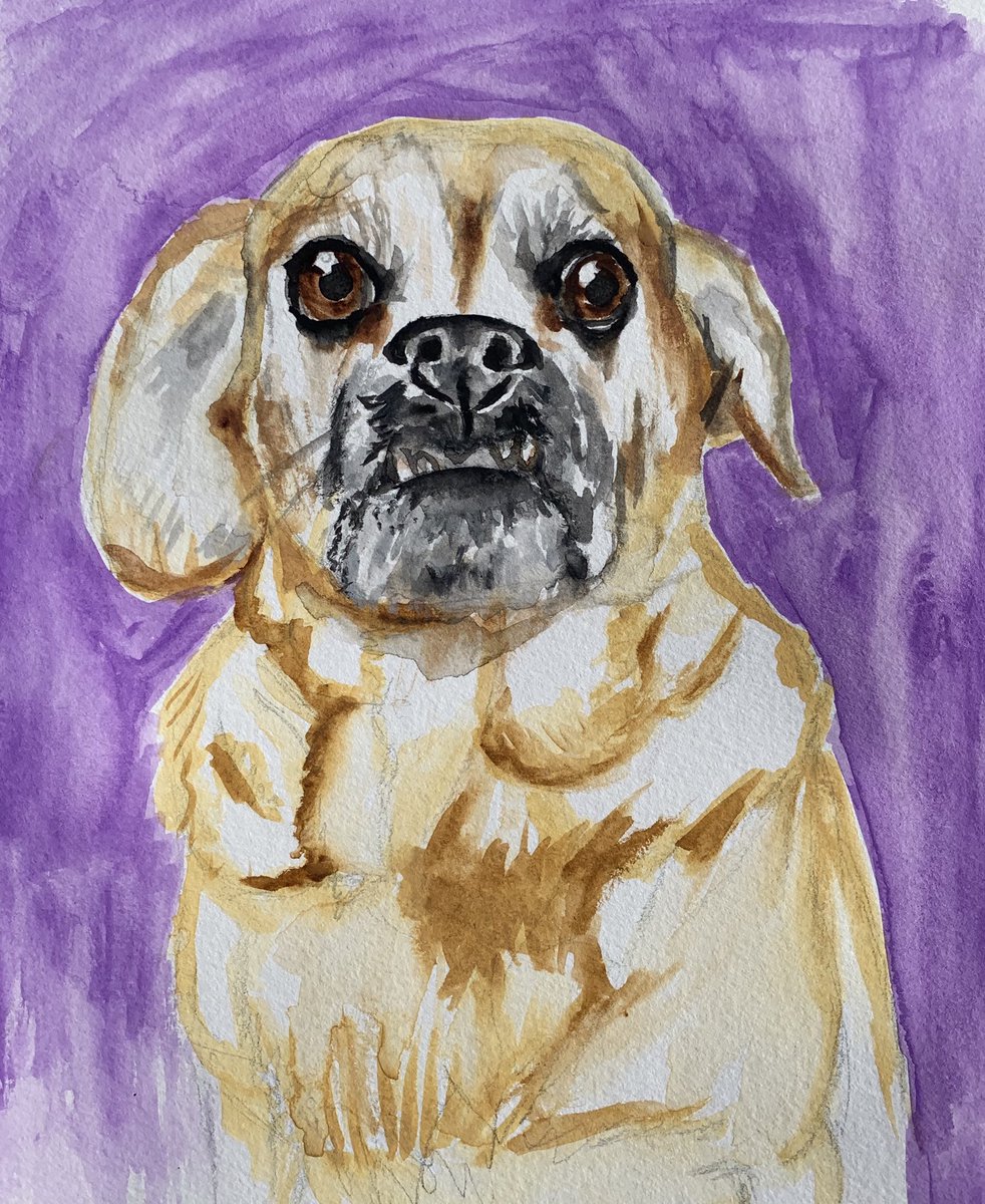 zoeneyy's tweet photo. hey y’all !!!! so i’m officially on etsy selling my art:) i do all kinds of portraits n customs so if you’re interested pls check out my etsy or DM me:)
https://t.co/xr7zOCYqHW https://t.co/H4aeLhjw2V