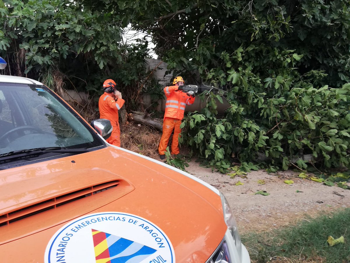 avpcutebo's tweet photo. 18:58h activados por @112Aragon Aragón por la caída de una rama de grandes dimensiones en el camino de acceso al subterráneo de la AP-68.@avpcutebo utilizando la  motosierra troceamos la rama y el camino vuelve a ser transitable.
Finalizamos a las 19:40h.@AytoUtebo @PoliciaUtebo https://t.co/yiXpSKusf8