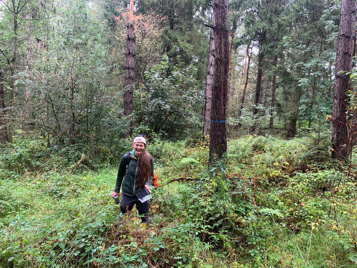 MimaLetts's tweet image. Sad to say that my year as Trainee Forester on the Chatsworth Estate has come to an end but happy to announce that from next week, I am being promoted to Assistant Forester!! Feel very lucky to be able to continue working on such a beautiful estate with such an awesome team 👊🌳