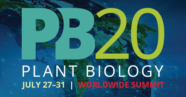 ASPB's tweet image. #PlantBio20 Day 4 afternoon continues in 1 hour with Concurrent Symposium 23. Join @cutlersr, #UdayaKalluri, #ChangtianPan, @SueRhee2, #MichaelScanlon, and @schnablep for “Transforming the Pace of Plant Functional Genomics.” #genomics #geneticengineering #CRISPR #robotics